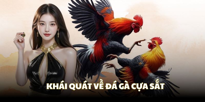 đá gà cựa sắt